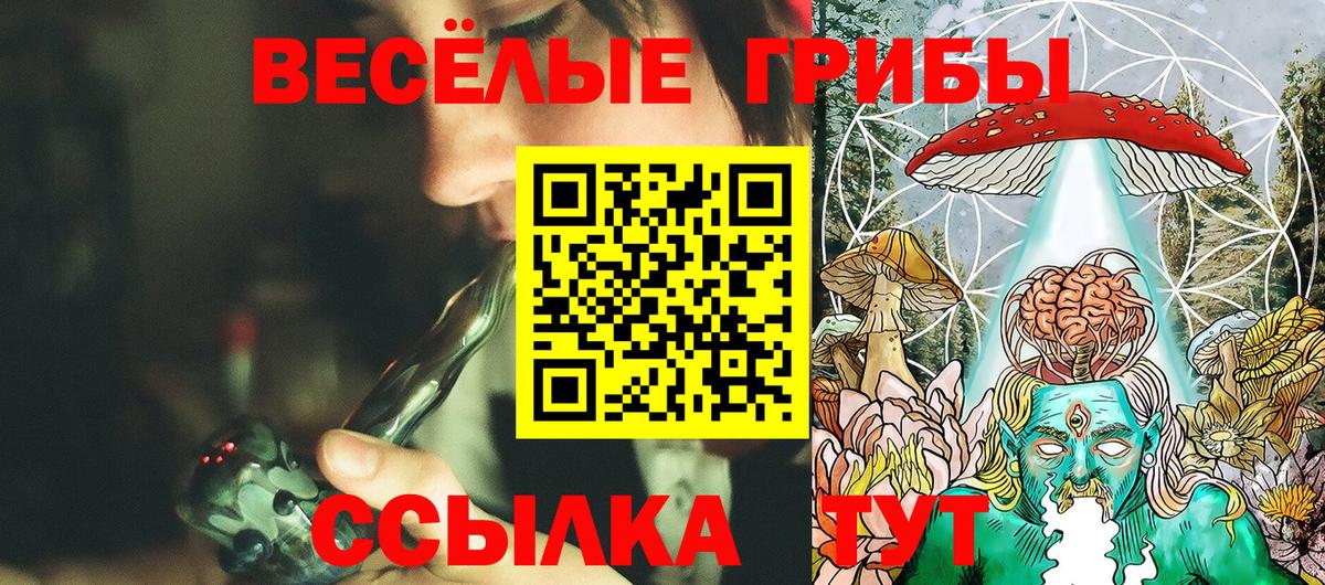 Галлюциногенные грибы MAGIC MUSHROOMS  где купить наркоту  Ростов Великий  Вход с VPN 